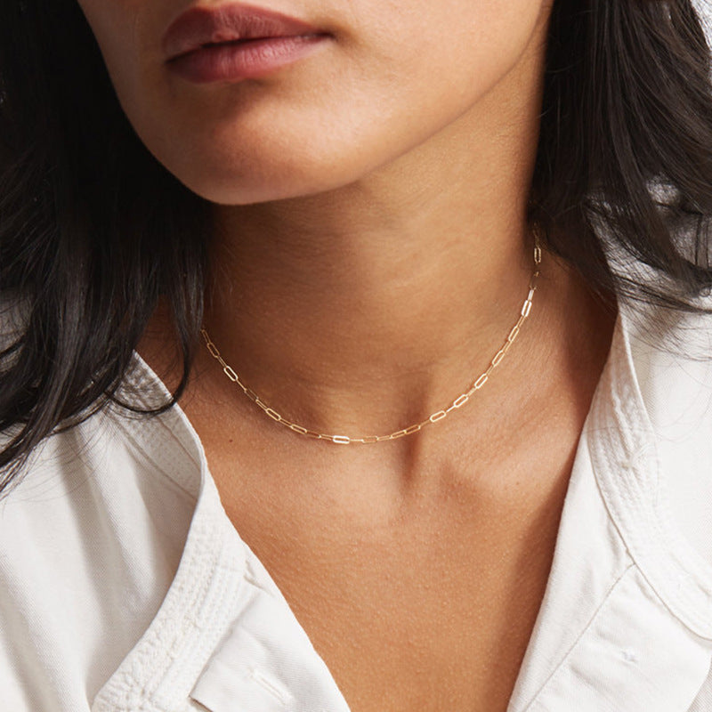 Nadia Paperclip Ketting