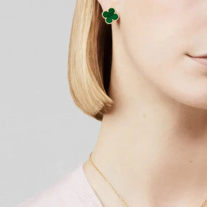 CLOVER | Premium Groene Bundel