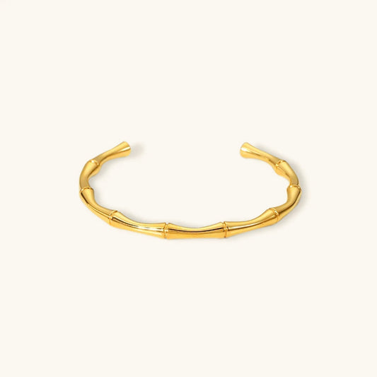 Brielle Gouden Bangle