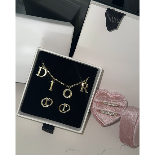 EXCLUSIEF | DR Oorbellen Goud